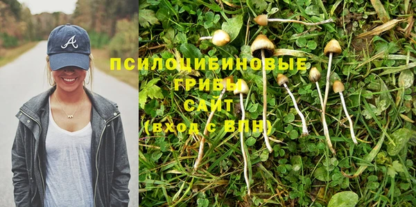 apvp Аркадак