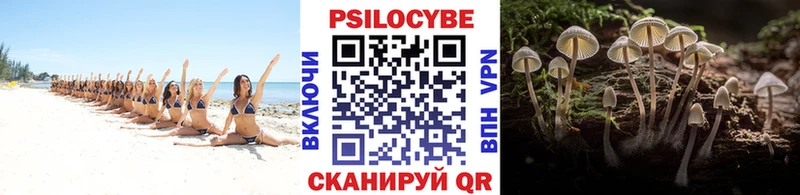 Галлюциногенные грибы Psilocybe  хочу   Мыски 