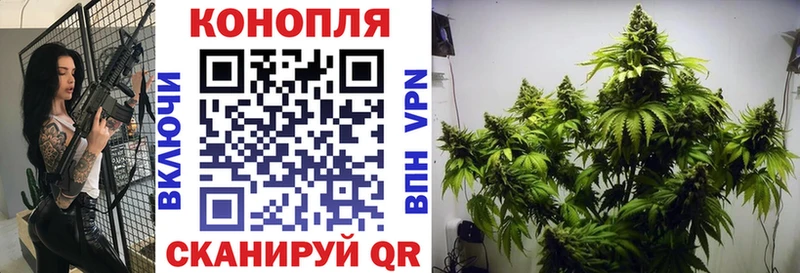 Конопля MAZAR  Мыски 